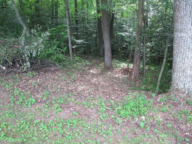 536 Boomer Road Boomer, NC 28606 - Photo 13 of 33 Path to Boomer Pk swimming area