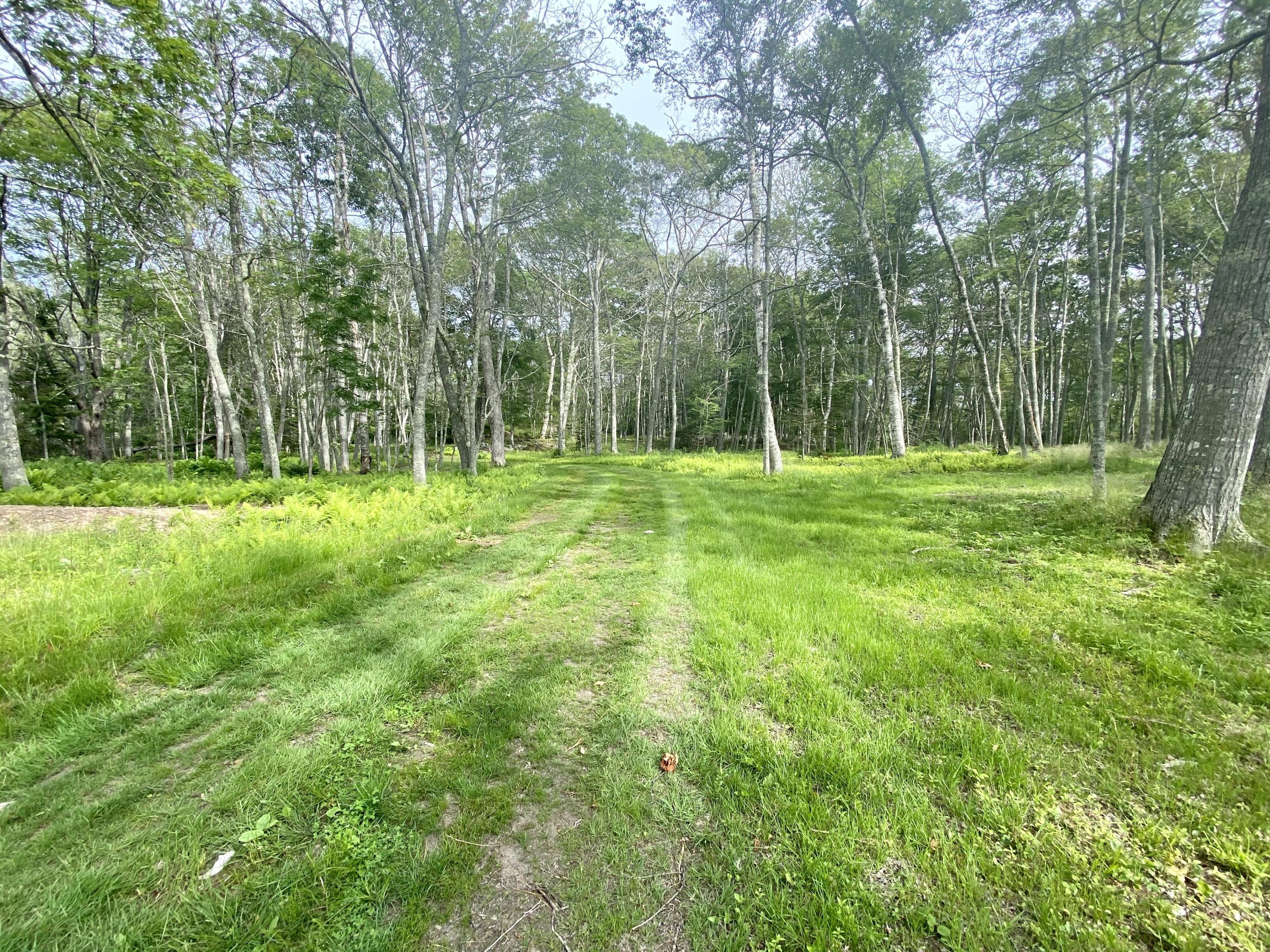 606 Ocean Point Road East Boothbay, ME 04544 - Photo 6 of 12 606 Ocean Point Driveway