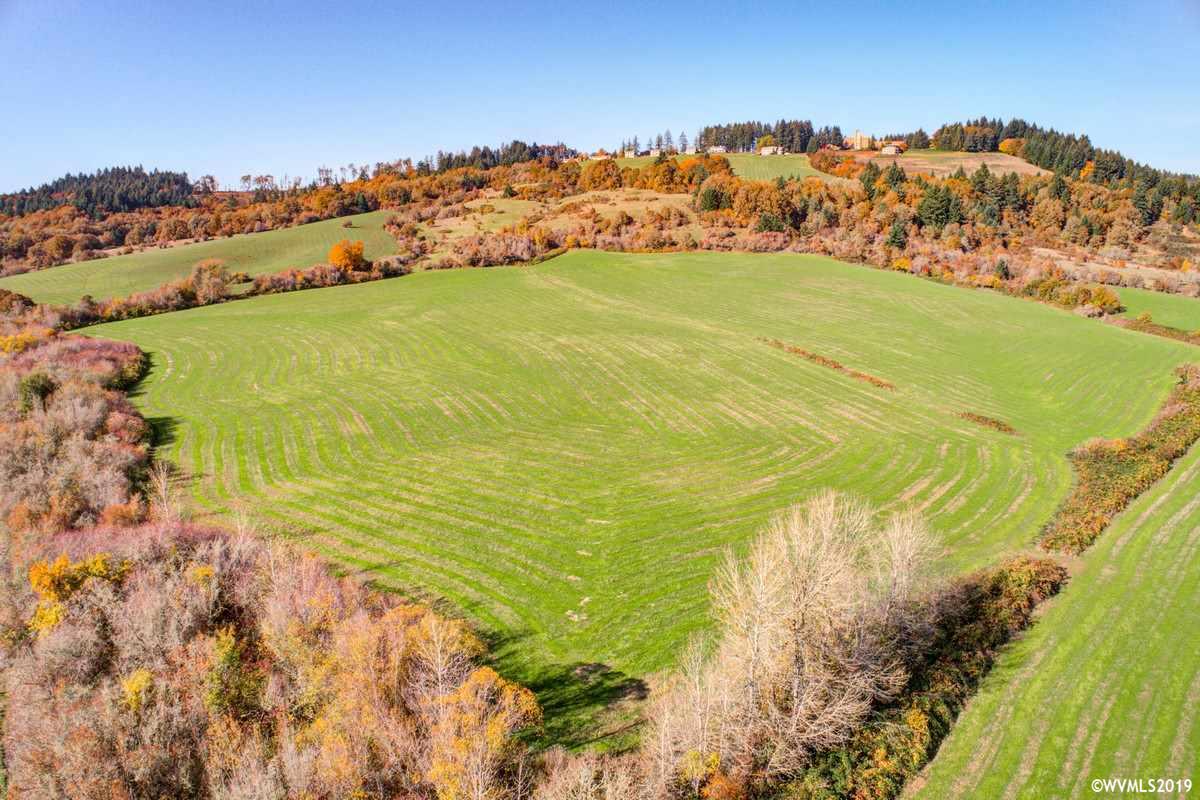 Southwest Pittman (lot 200) Road Sheridan, OR 97378 - Photo 7 of 13