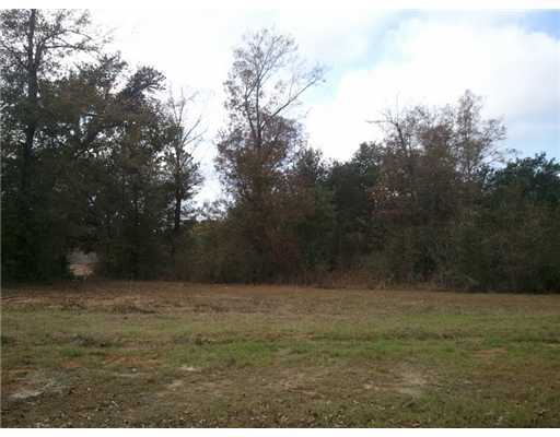 Lot 34 Lot Loop Pass Christian, MS 39571 - Photo 1 of 4 Primary Photo