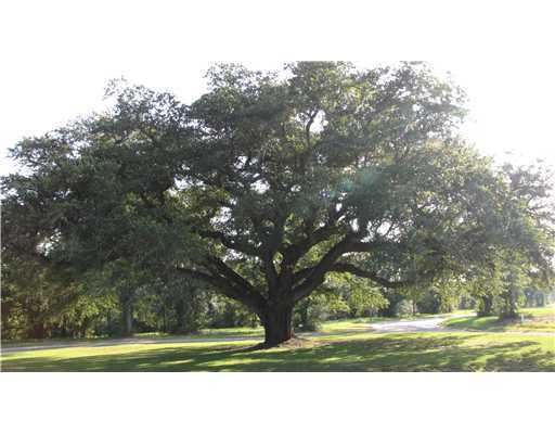 Lot 34 Lot Loop Pass Christian, MS 39571 - Photo 2 of 4 Additional Photo
