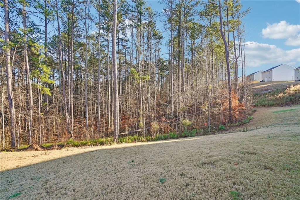 423 Hopi Lane Villa Rica, GA 30180 - Photo 37 of 37