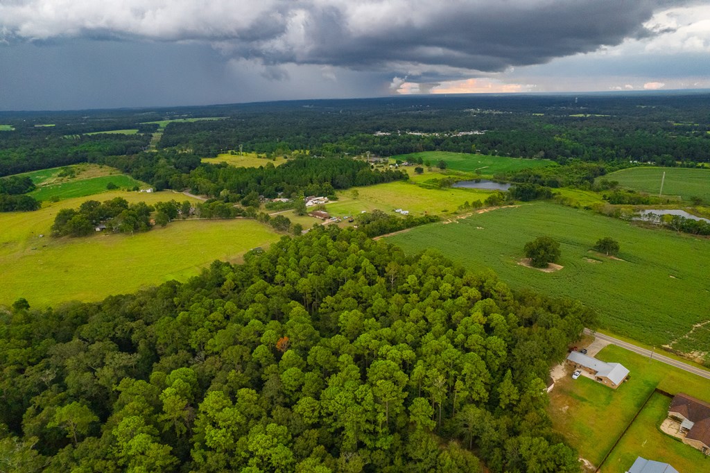 0 East Wayne Road Dothan, AL 36301 - Photo 13 of 18