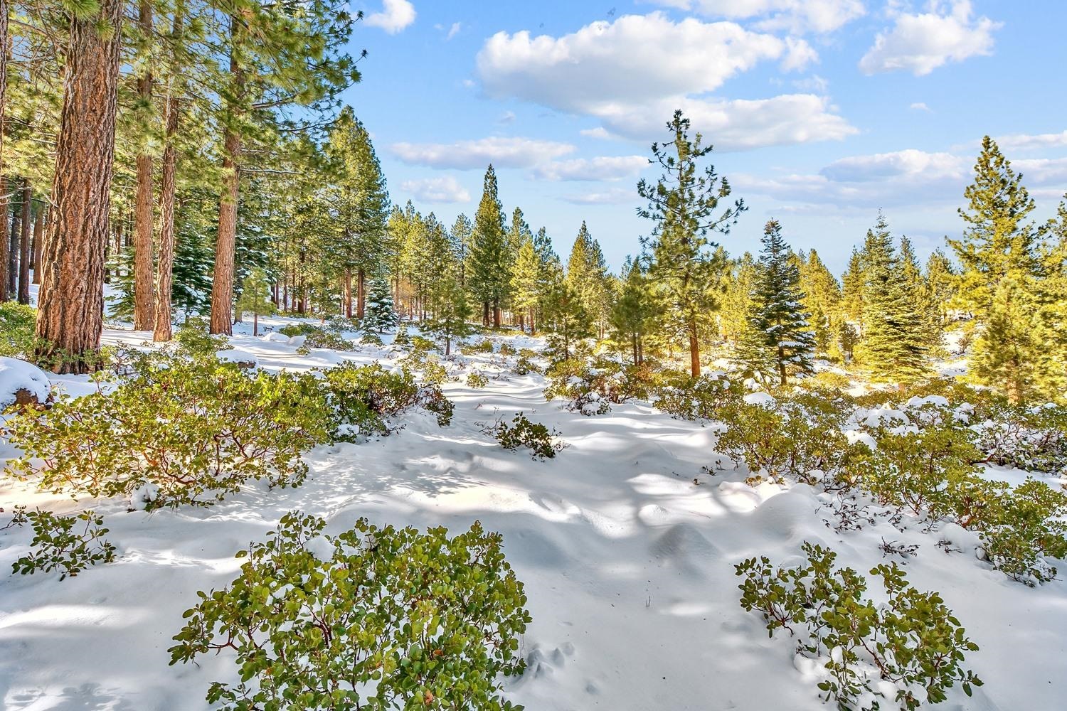 135 West Jeffrey Pine Road Reno, NV 89511 - Photo 16 of 21 Gallery Image 16