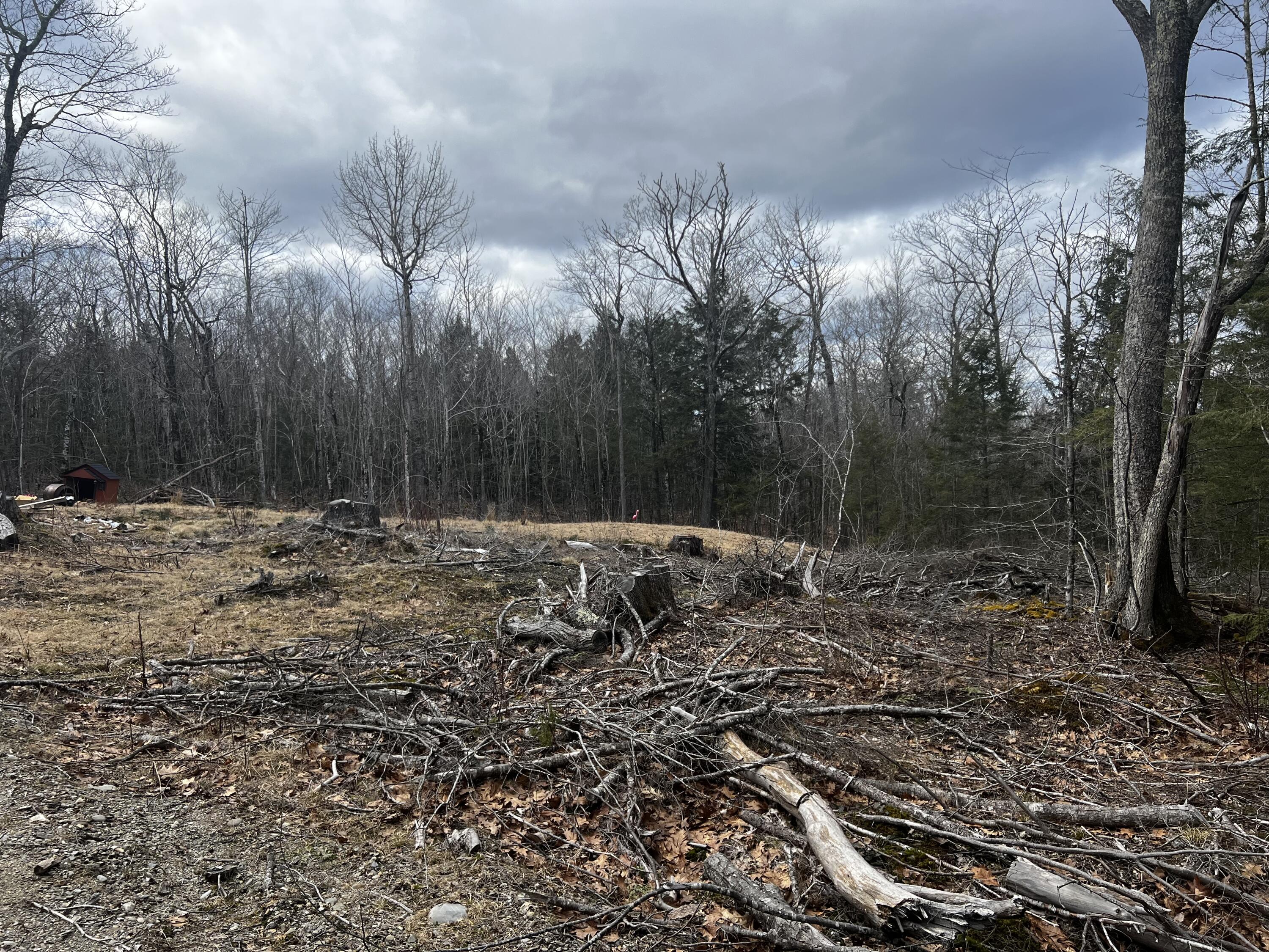 10 Brown Road Liberty, ME 04949 - Photo 2 of 8 IMG_9089