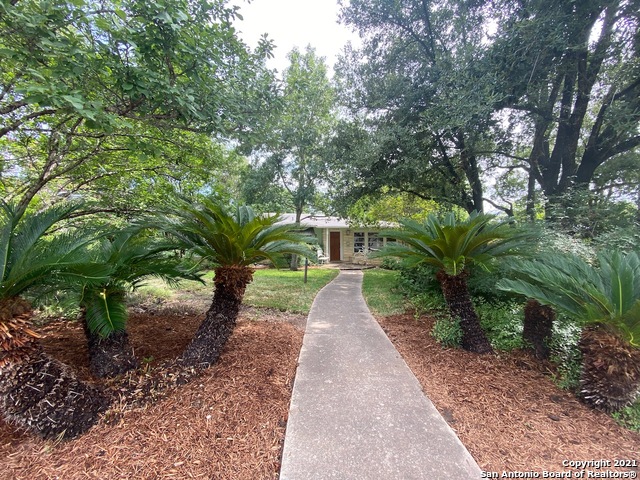 a view of a pathway with a tree