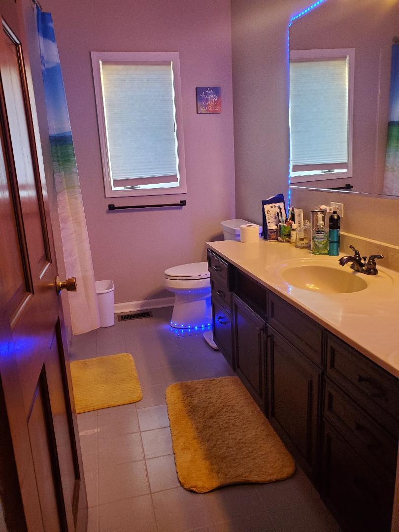 1385 Stonegate Road Algonquin, IL 60102 - Photo 28 of 32 a bathroom with a tub sink and mirror