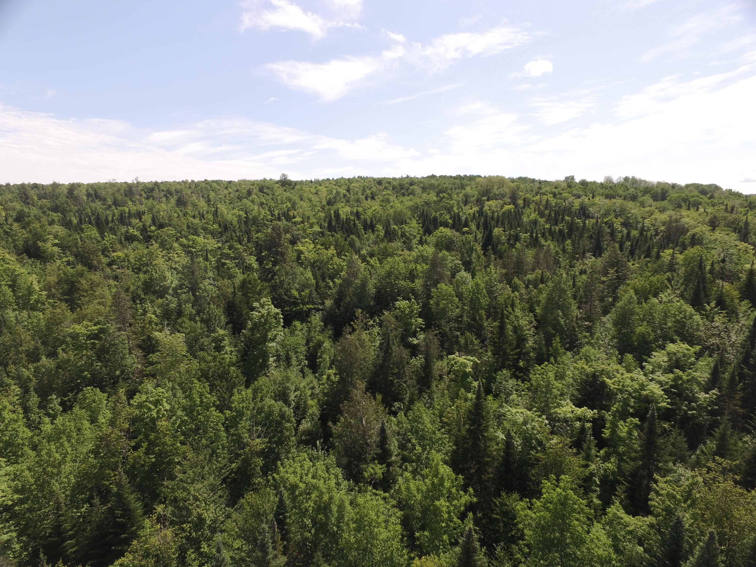 0 Kinney Road Blaine, ME 04734 - Photo 3 of 4 DJI_0009