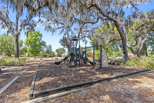 a view of a park with large trees