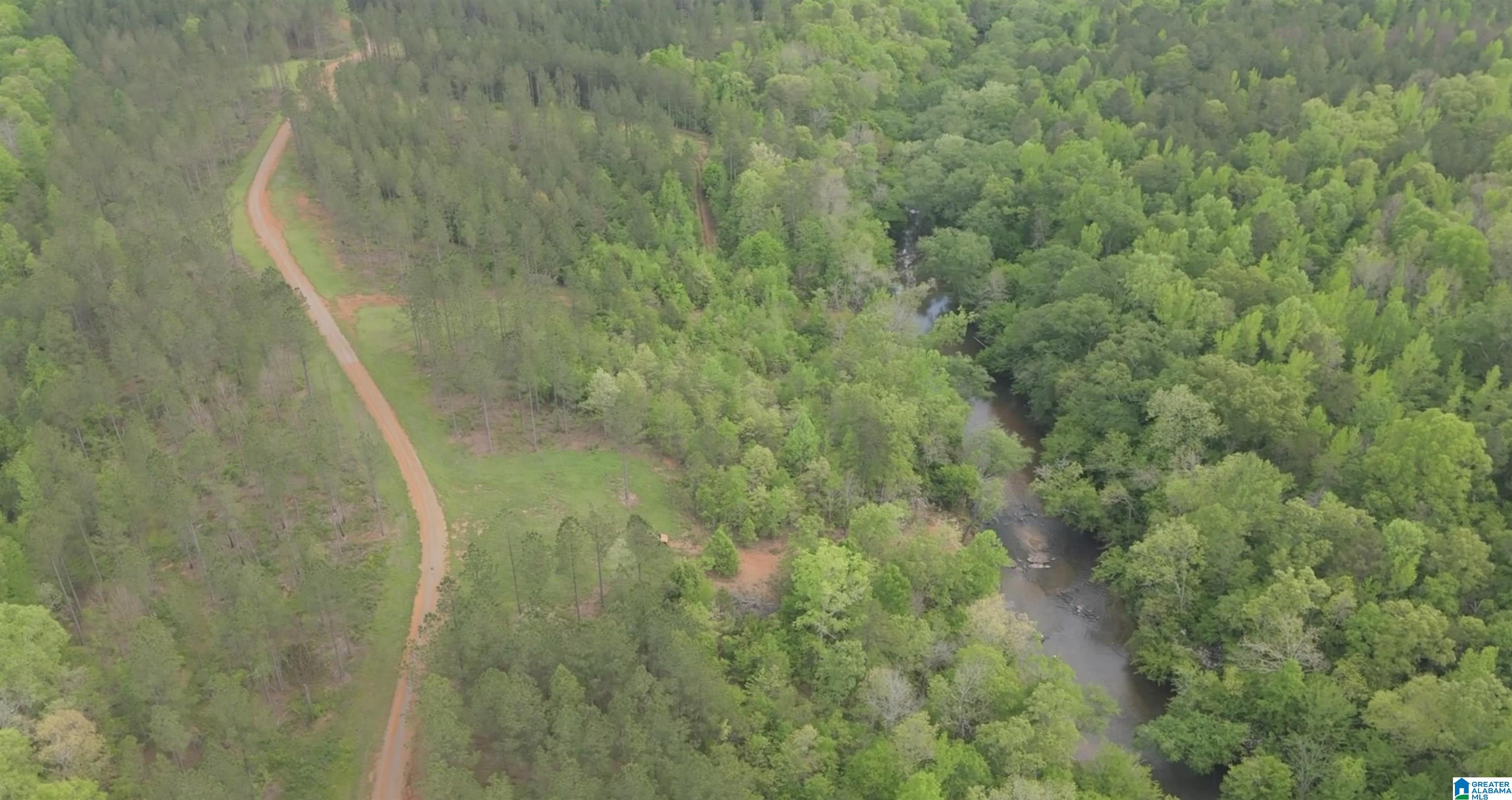 1051 Pate Road, Unit TRACT 5 AND 6 Cragford, AL 36255 - Photo 25 of 34