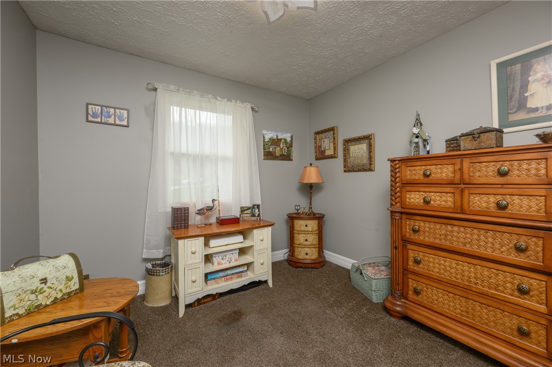 390 Ross Road Waynesburg, OH 44688 - Photo 17 of 30 Sitting room featuring dark colored carpet and a textured ceiling