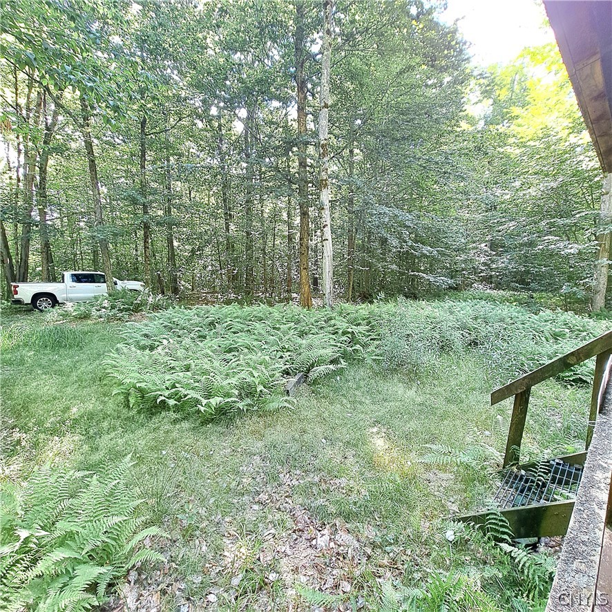 Lot #5 Dolly Road, Unit 5 Camden, NY 13316 - Photo 3 of 8