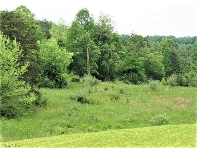 918 Big Lick Road Le Roy, WV 25252 - Photo 30 of 35