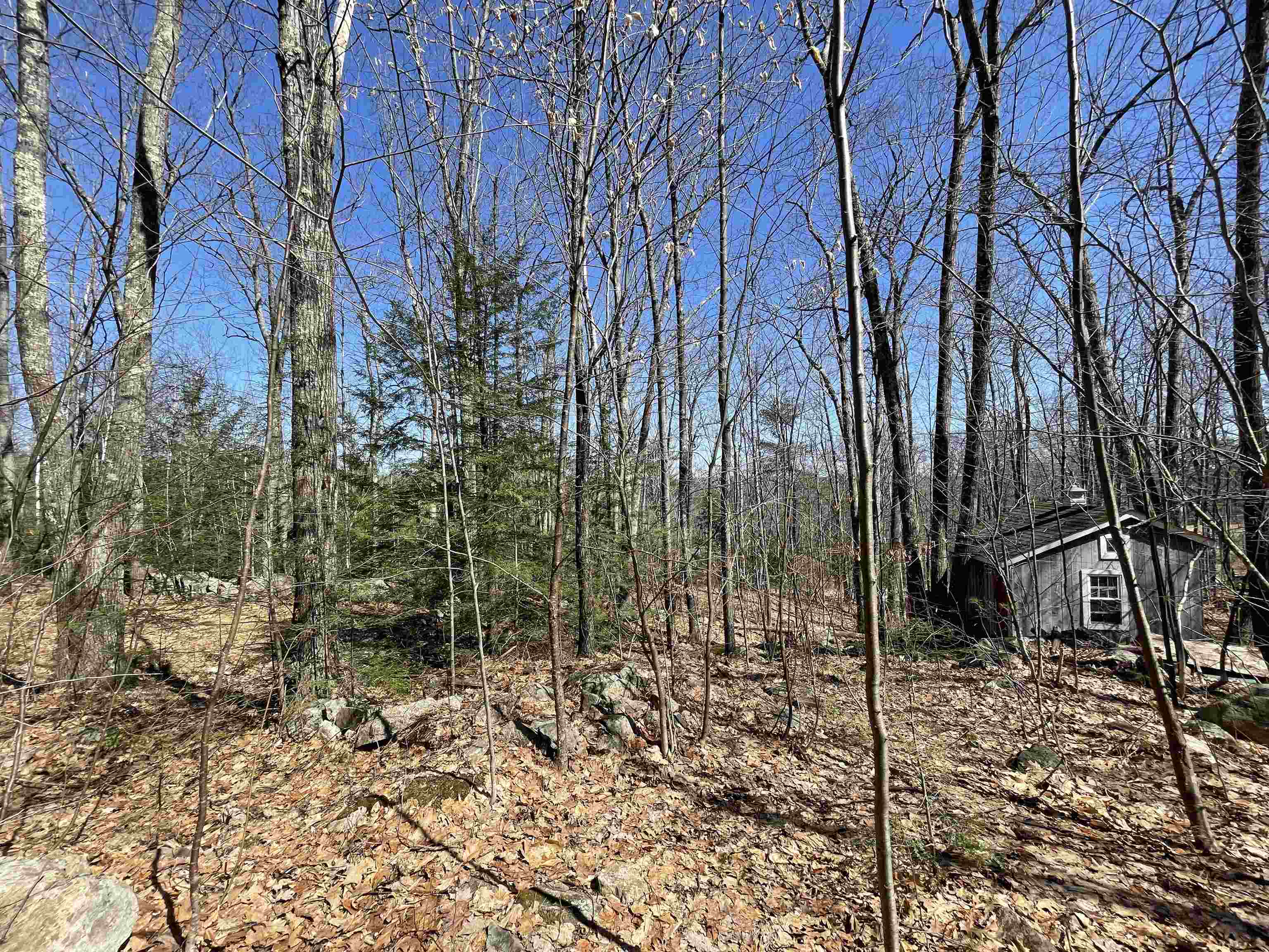 40 Hook Road Gilford, NH 03249 - Photo 12 of 18