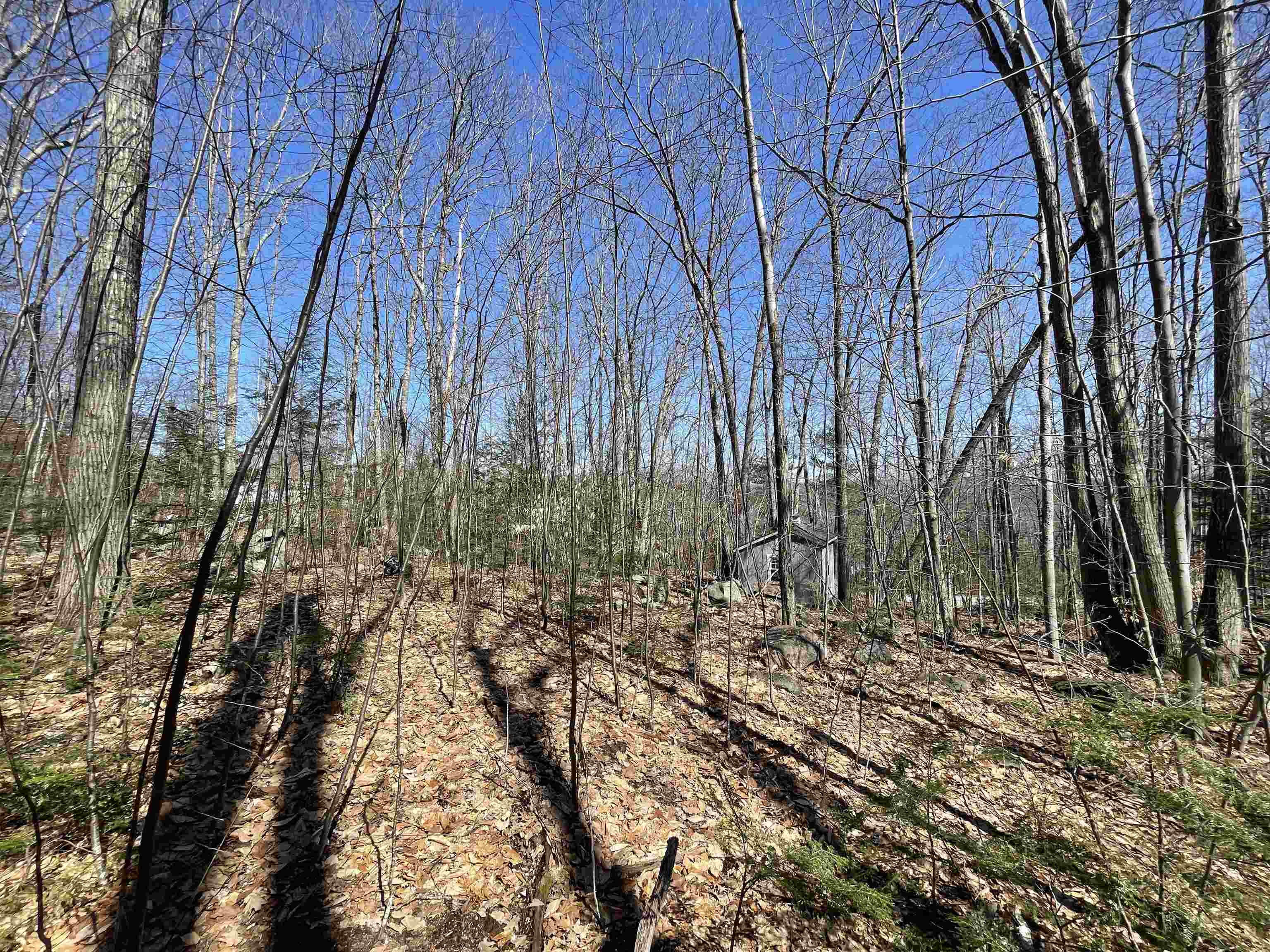 40 Hook Road Gilford, NH 03249 - Photo 15 of 18
