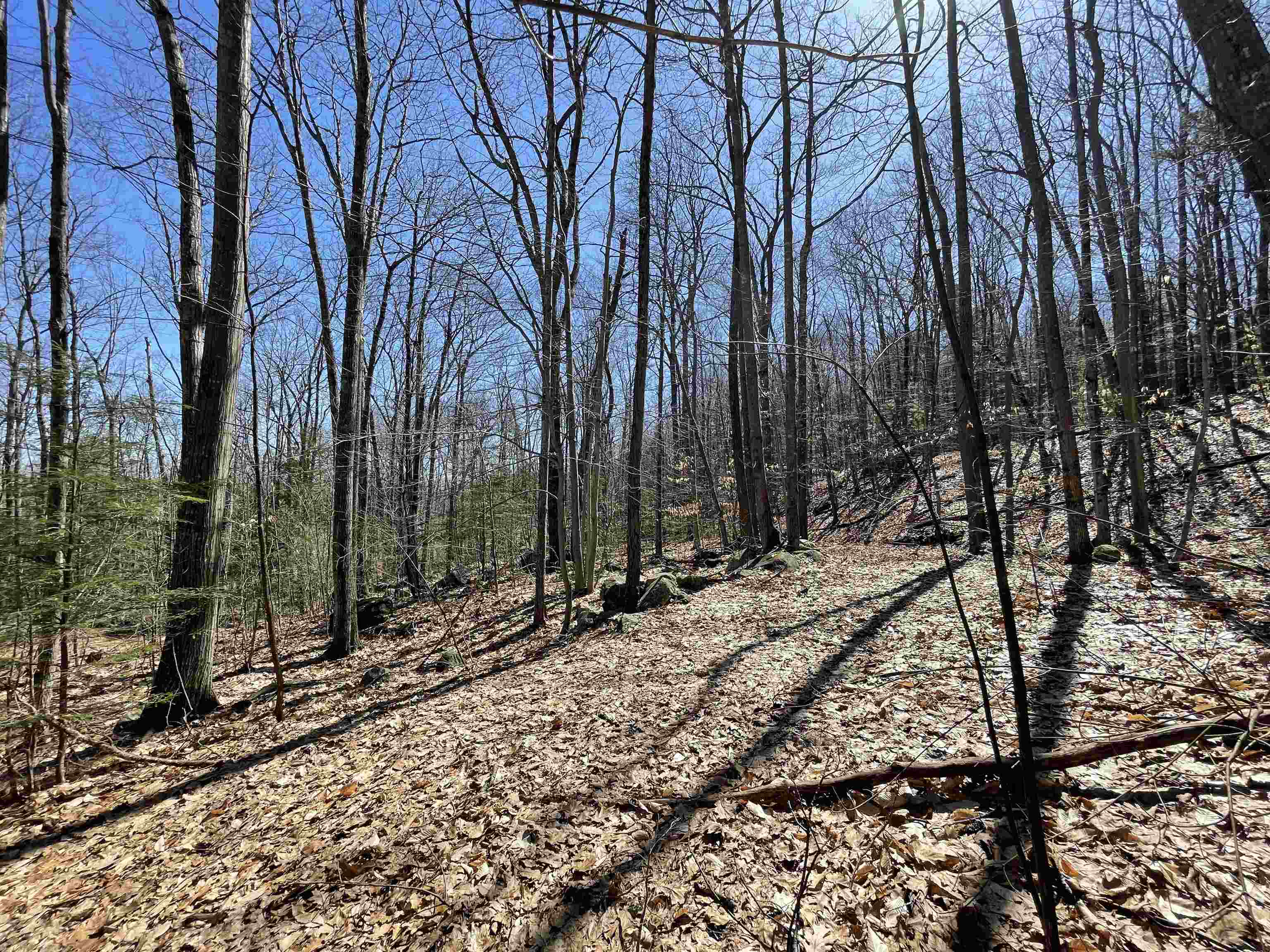 40 Hook Road Gilford, NH 03249 - Photo 16 of 18
