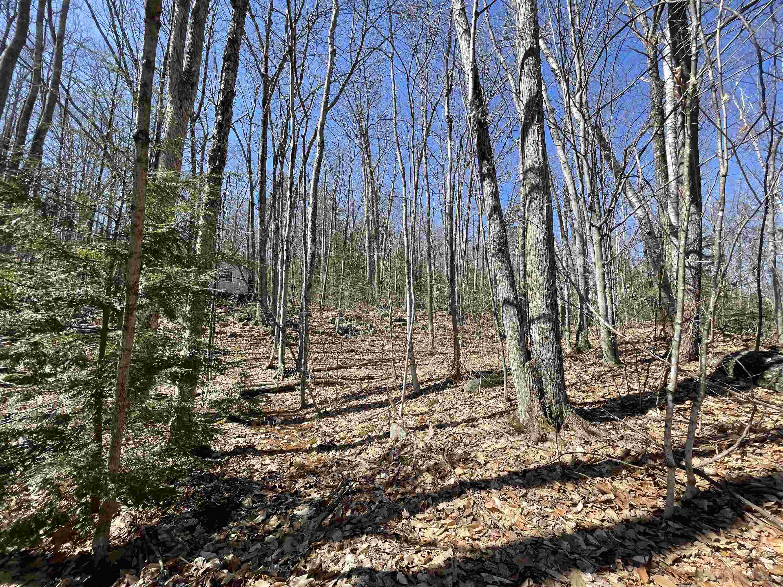 40 Hook Road Gilford, NH 03249 - Photo 5 of 18