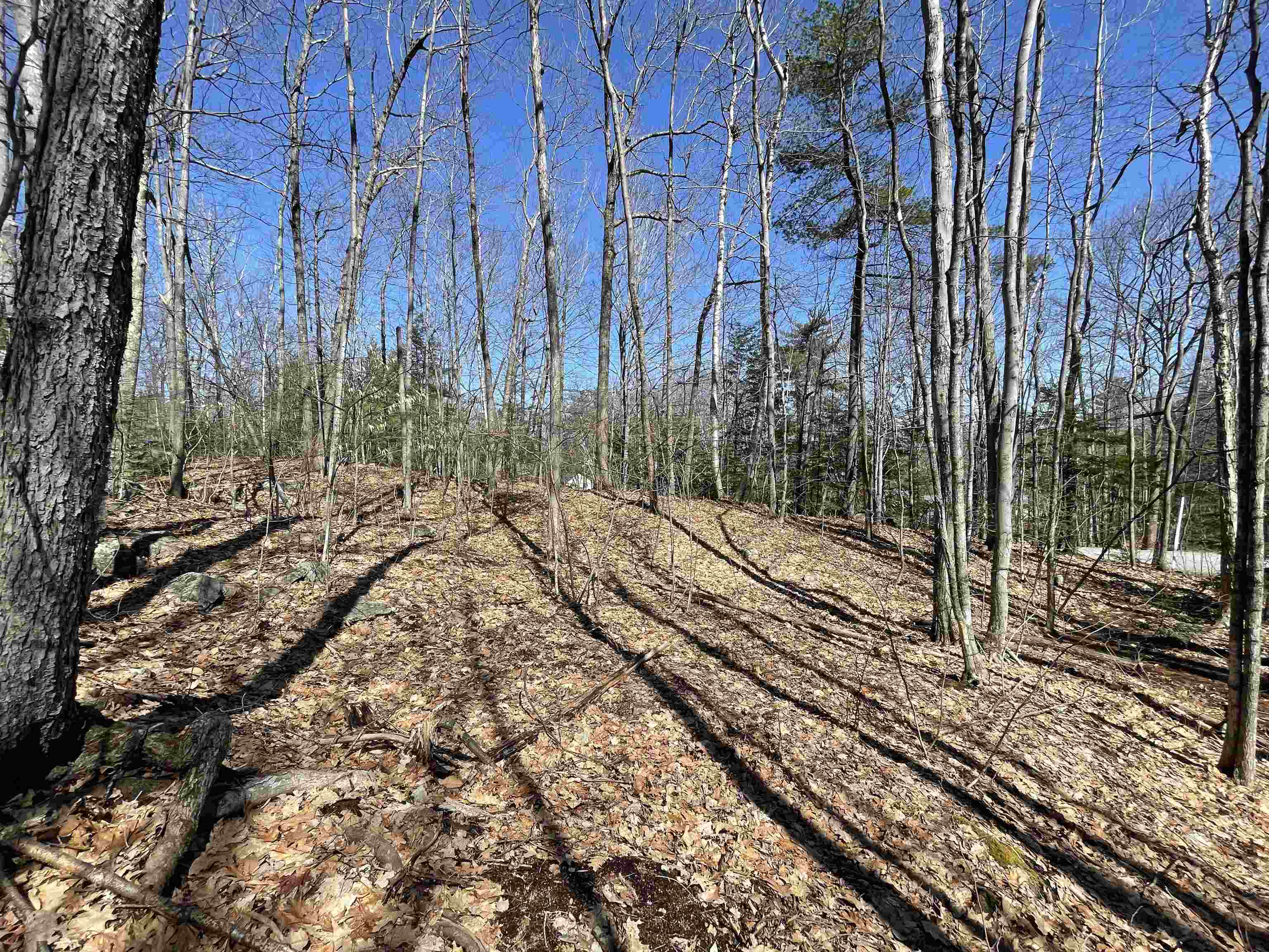40 Hook Road Gilford, NH 03249 - Photo 7 of 18