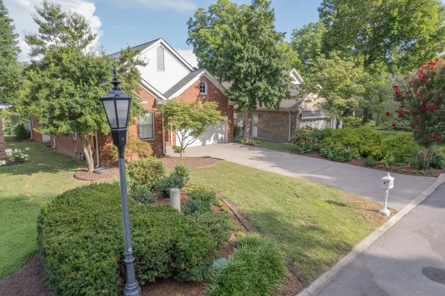 a view of a backyard with a garden and tree