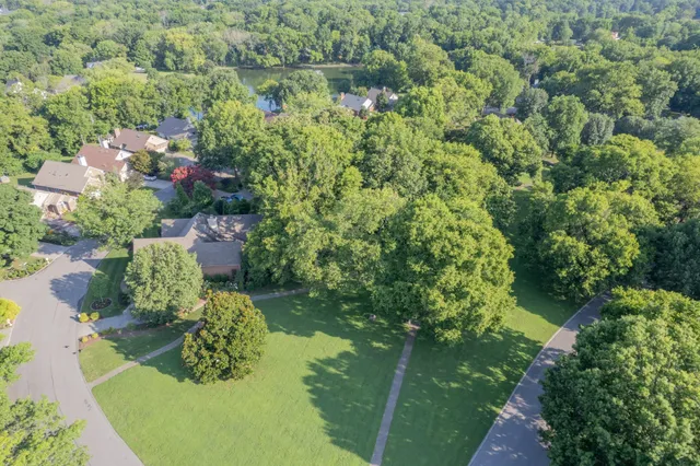 a view of a garden with plants