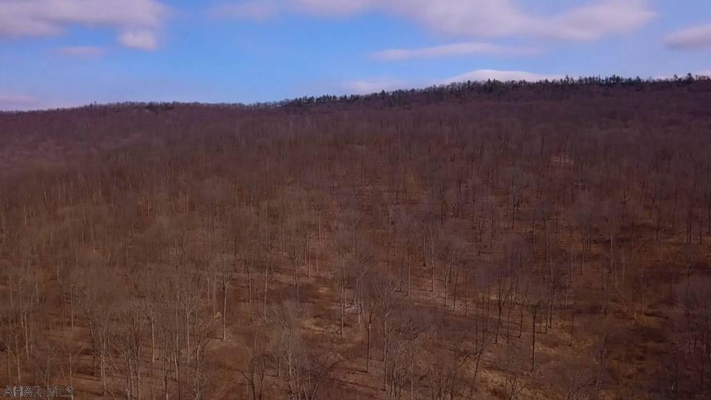 0 Sweet Root Road Bedford, PA 15522 - Photo 23 of 23 Gallery Image 23