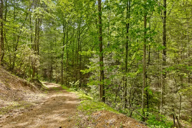 $100,000 | 0 Dandy Road, Unit LOT 13 & 14, Signal Mountain, TN 37377