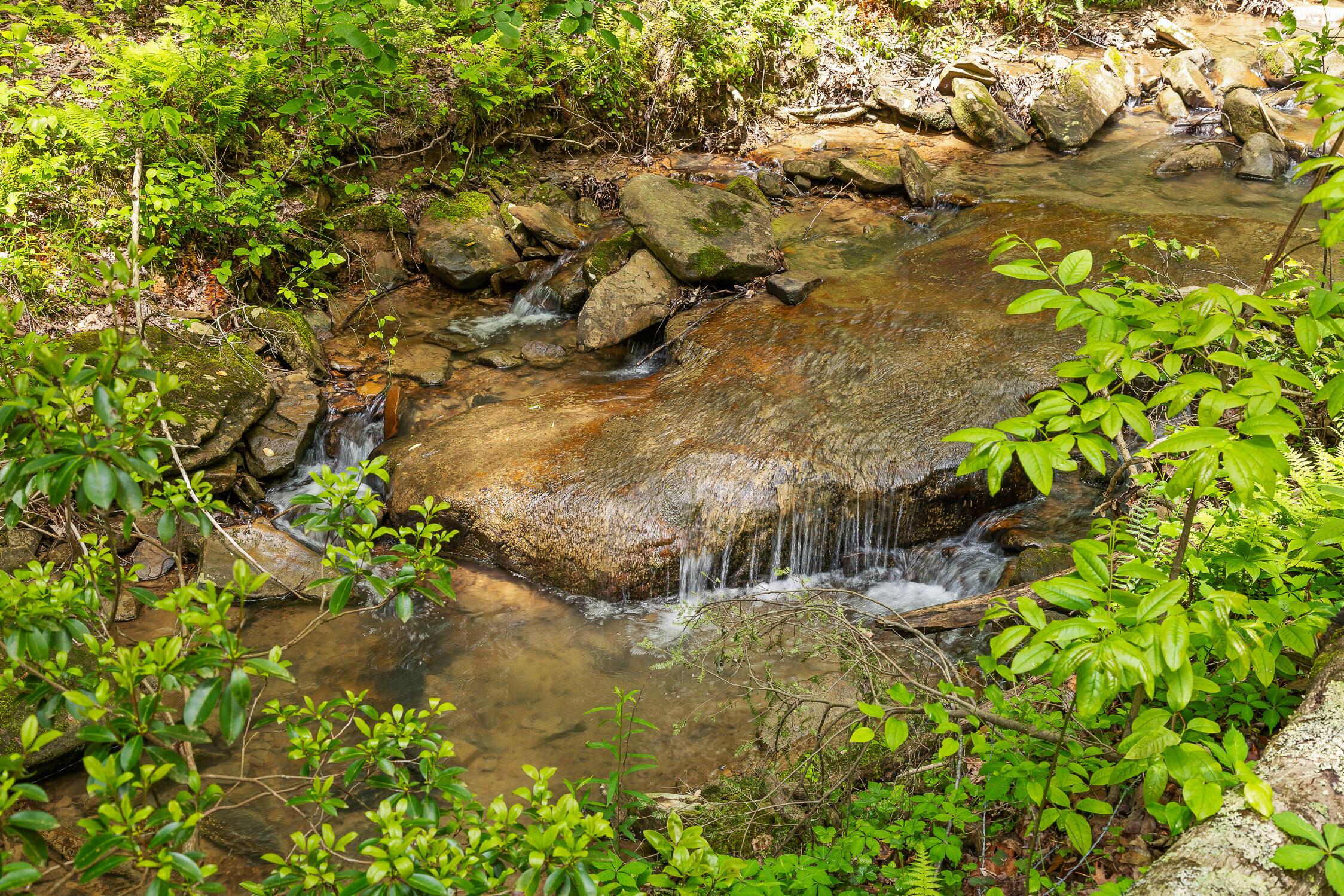 0 Dandy Road, Unit LOT 13 & 14 Signal Mountain, TN 37377 - Photo 19 of 40 19-Dandy-19