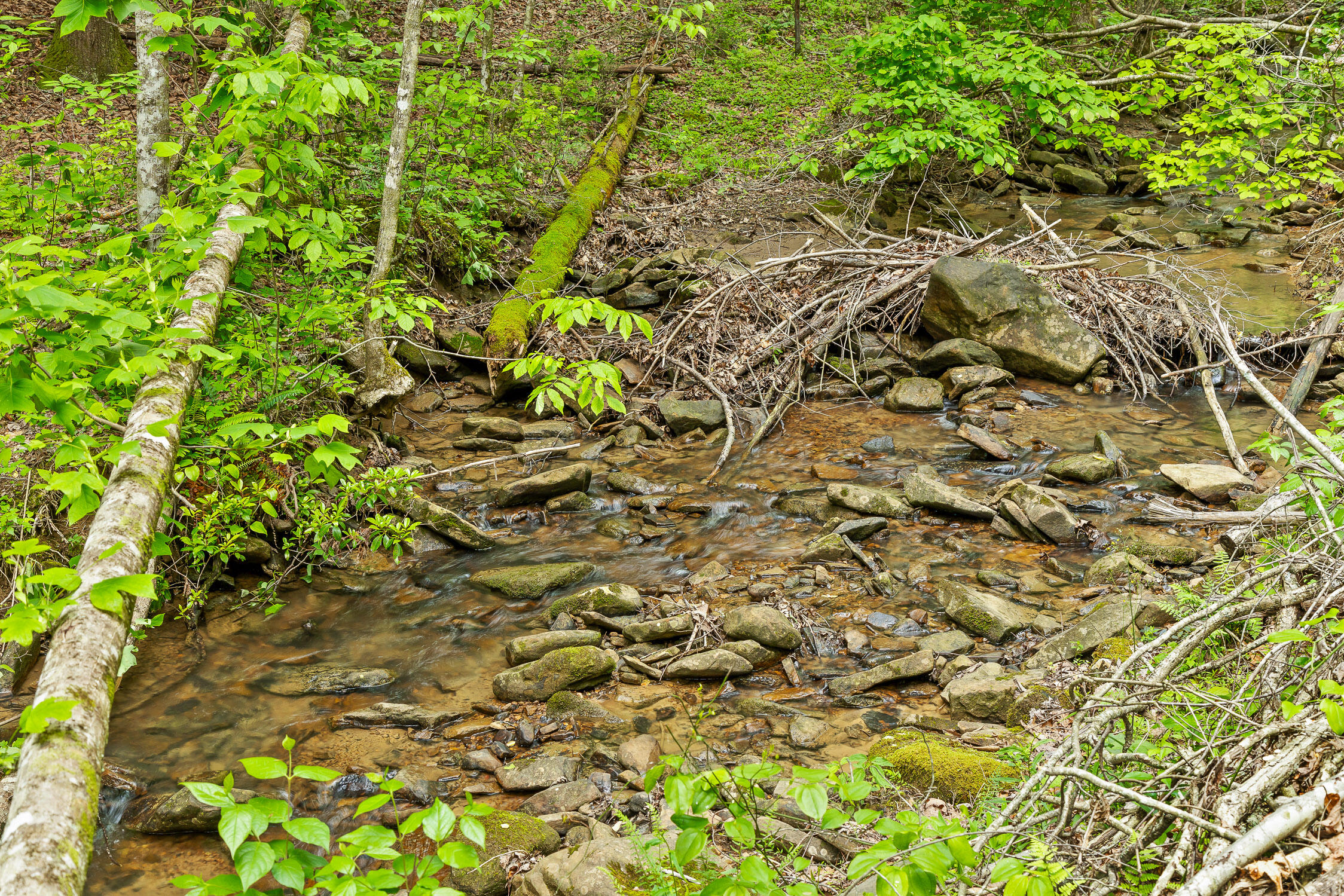 0 Dandy Road, Unit LOT 13 & 14 Signal Mountain, TN 37377 - Photo 21 of 40 23-Dandy-23