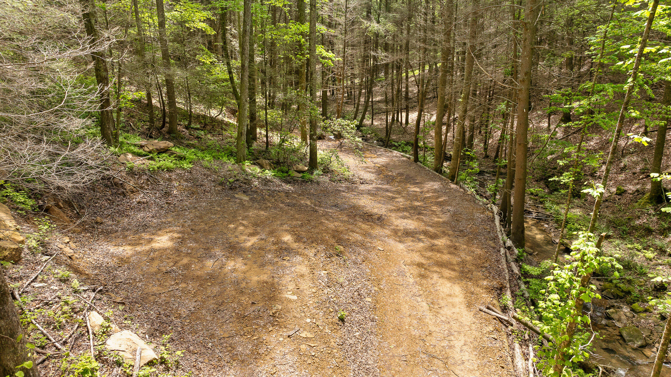 0 Dandy Road, Unit LOT 13 & 14 Signal Mountain, TN 37377 - Photo 24 of 40 34-Dandy-34