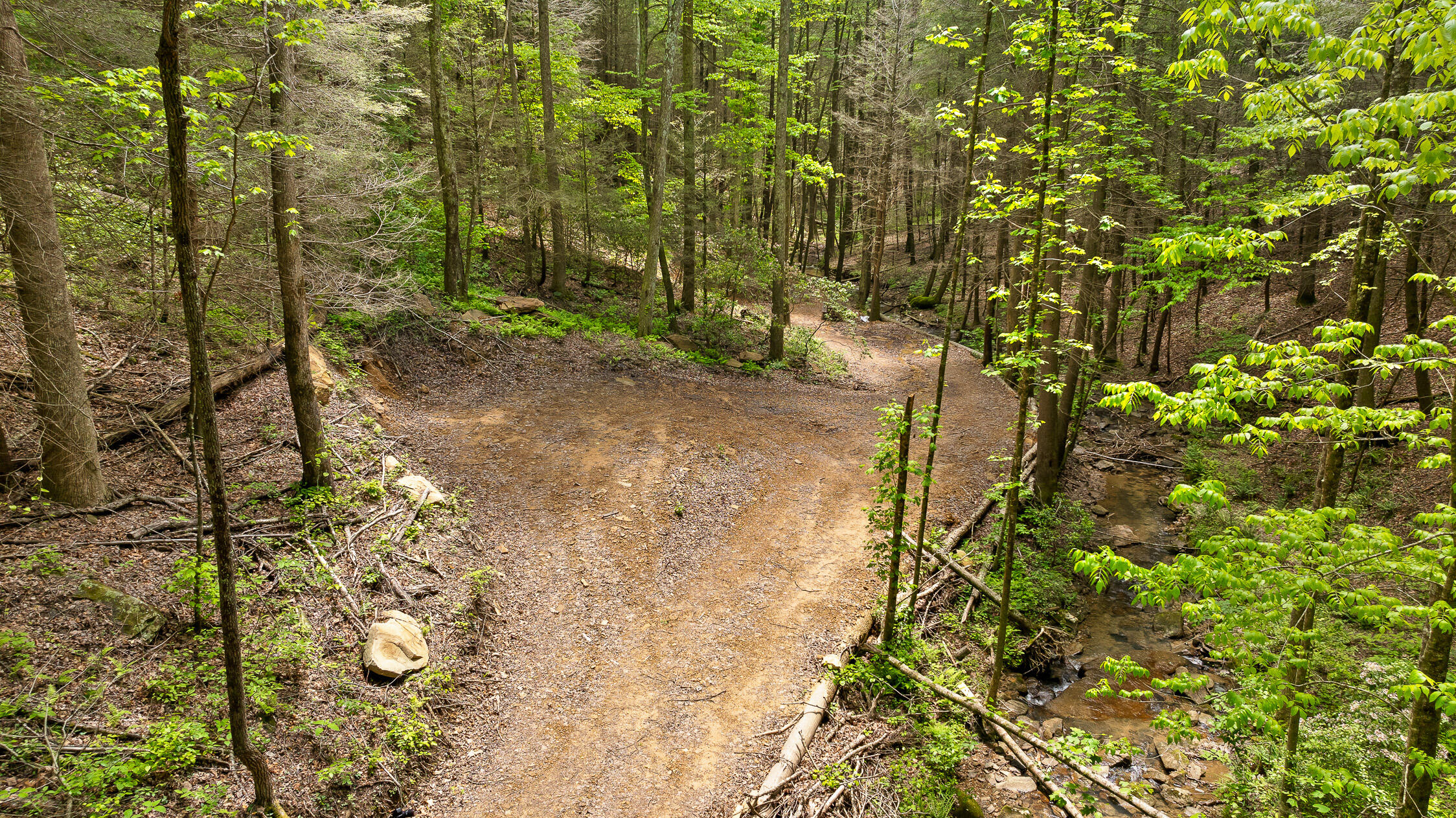 0 Dandy Road, Unit LOT 13 & 14 Signal Mountain, TN 37377 - Photo 25 of 40 36-Dandy-36