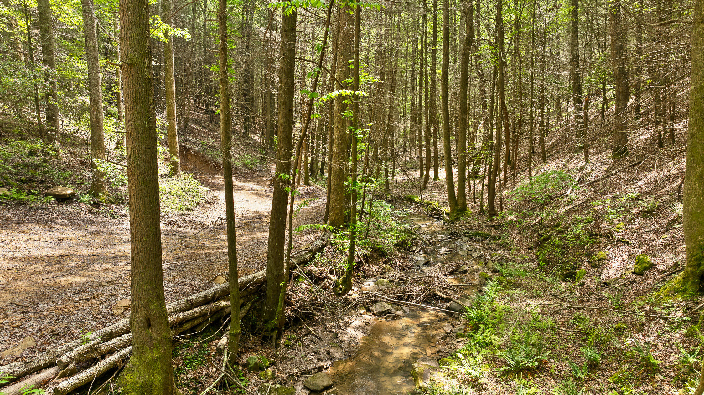 0 Dandy Road, Unit LOT 13 & 14 Signal Mountain, TN 37377 - Photo 26 of 40 35-Dandy-35