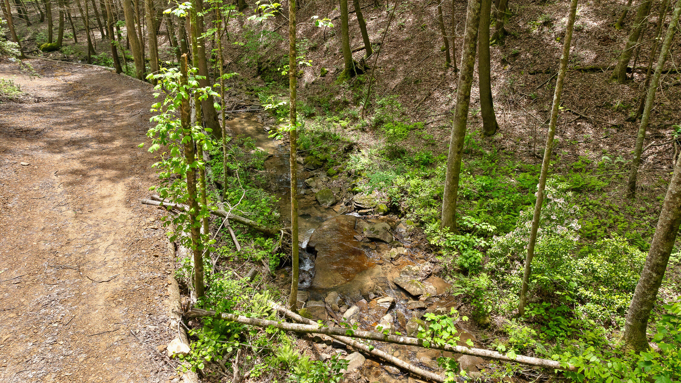 0 Dandy Road, Unit LOT 13 & 14 Signal Mountain, TN 37377 - Photo 28 of 40 37-Dandy-37