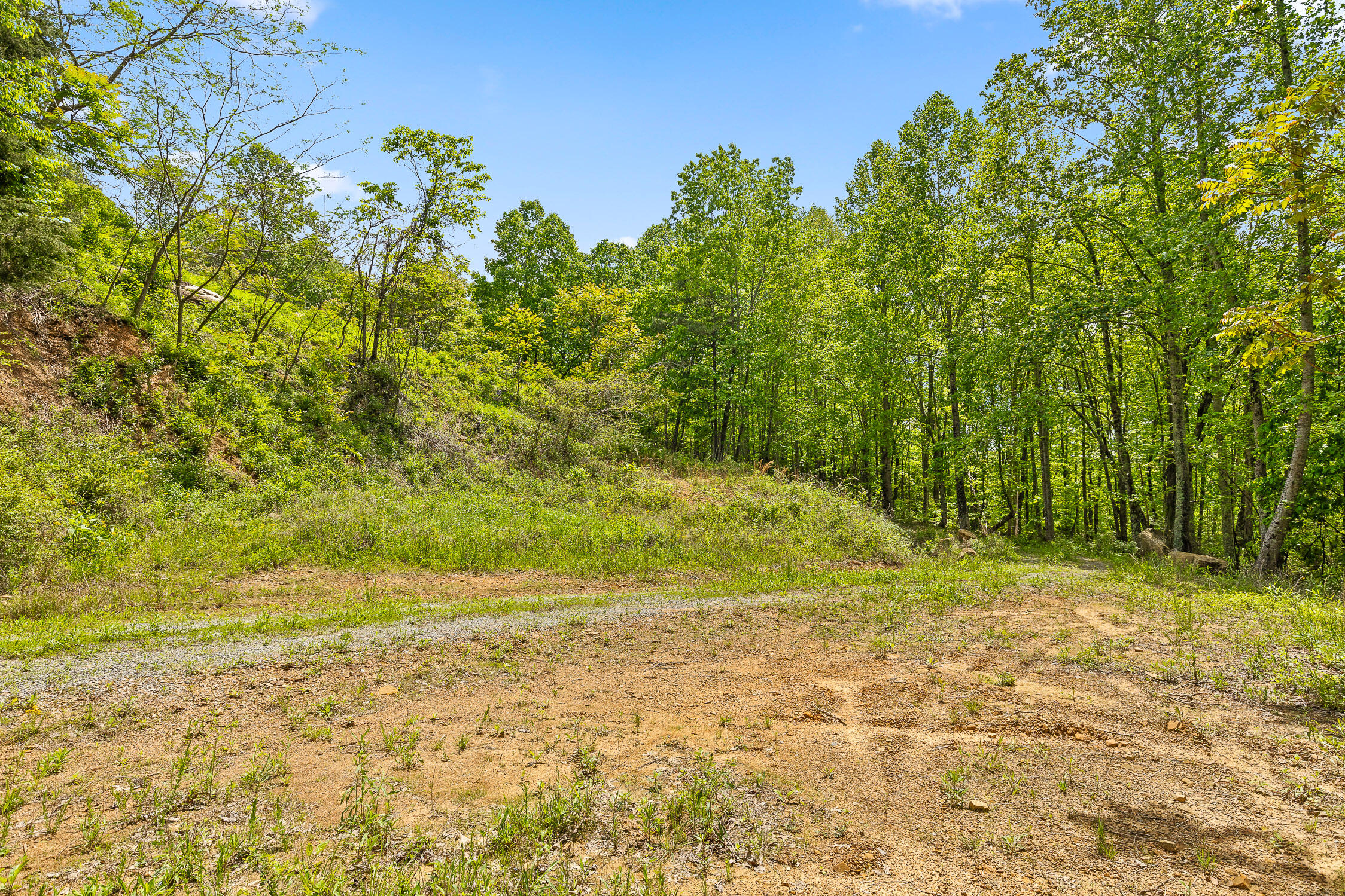 0 Dandy Road, Unit LOT 13 & 14 Signal Mountain, TN 37377 - Photo 30 of 40 06-Dandy-6