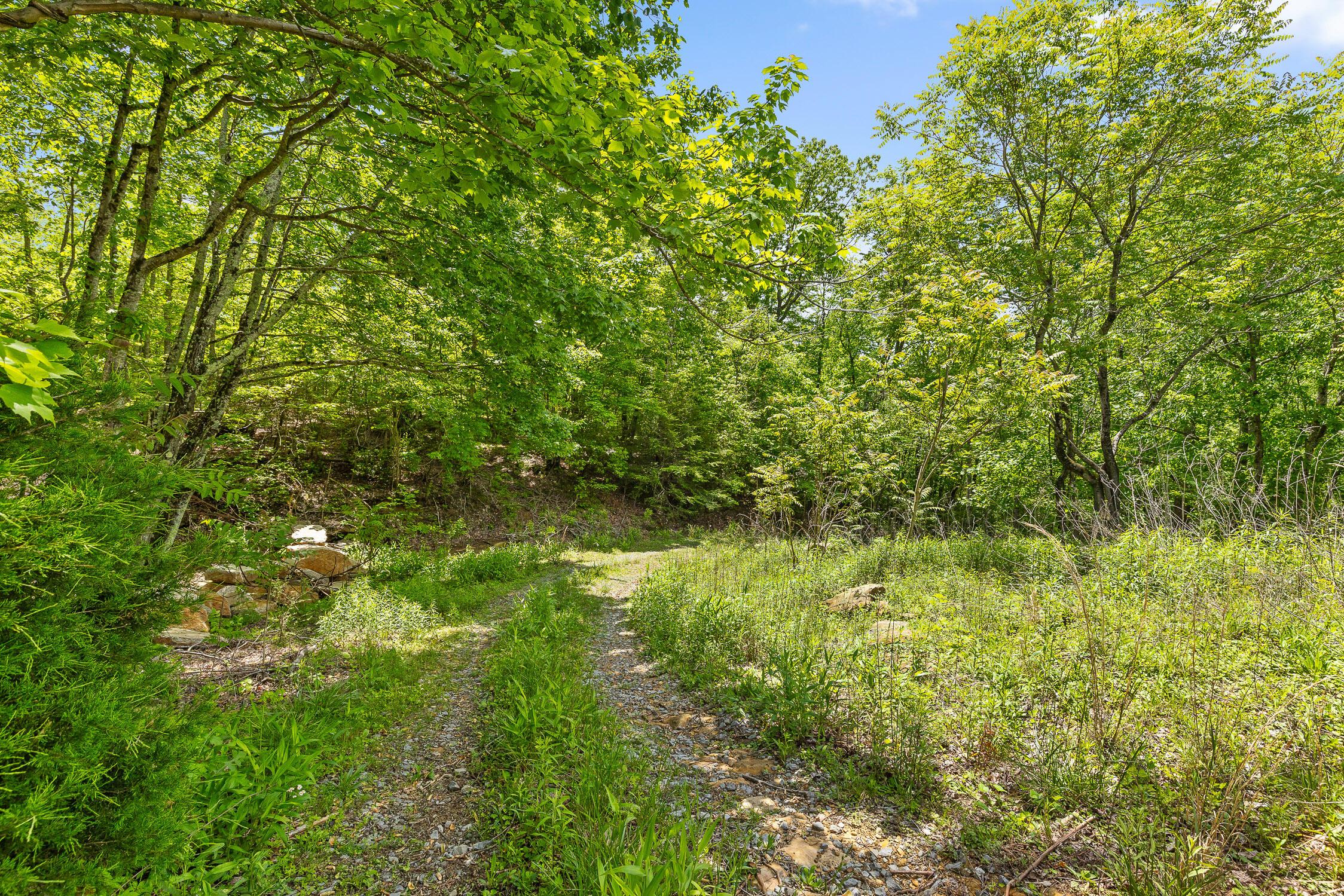 0 Dandy Road, Unit LOT 13 & 14 Signal Mountain, TN 37377 - Photo 31 of 40 03-Dandy-1