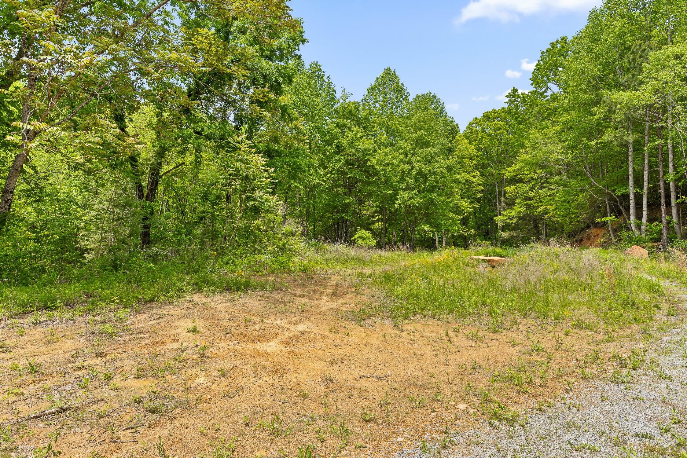 0 Dandy Road, Unit LOT 13 & 14 Signal Mountain, TN 37377 - Photo 32 of 40 05-Dandy-5