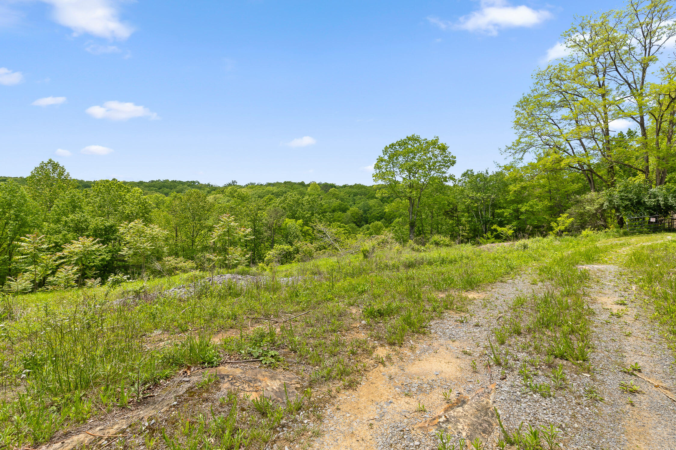 0 Dandy Road, Unit LOT 13 & 14 Signal Mountain, TN 37377 - Photo 5 of 40 28-Dandy-28