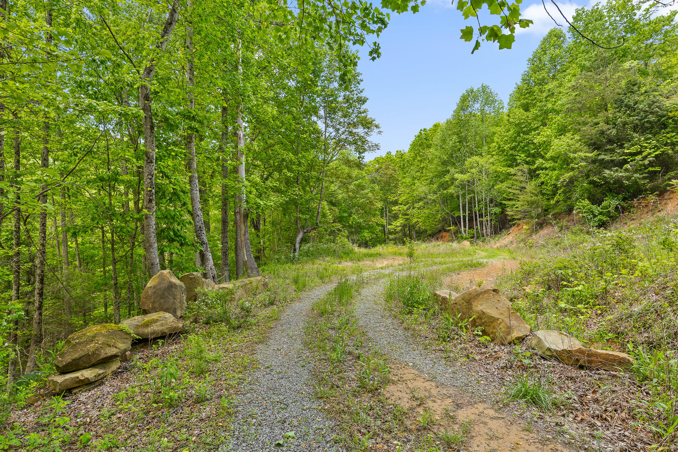 0 Dandy Road, Unit LOT 13 & 14 Signal Mountain, TN 37377 - Photo 7 of 40 01-Dandy-4