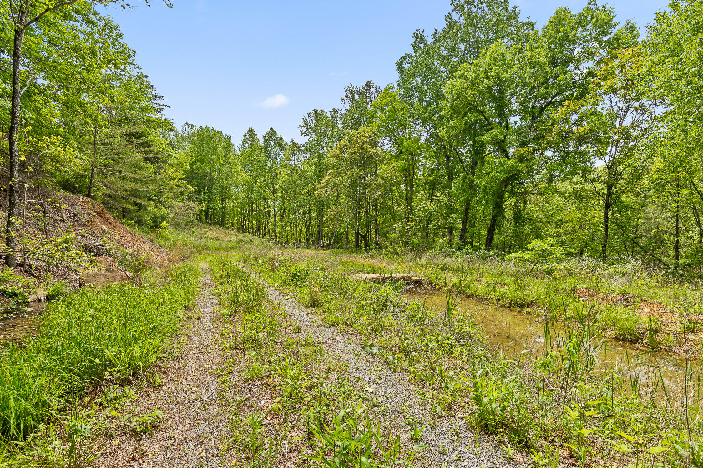 0 Dandy Road, Unit LOT 13 & 14 Signal Mountain, TN 37377 - Photo 10 of 40 08-Dandy-8