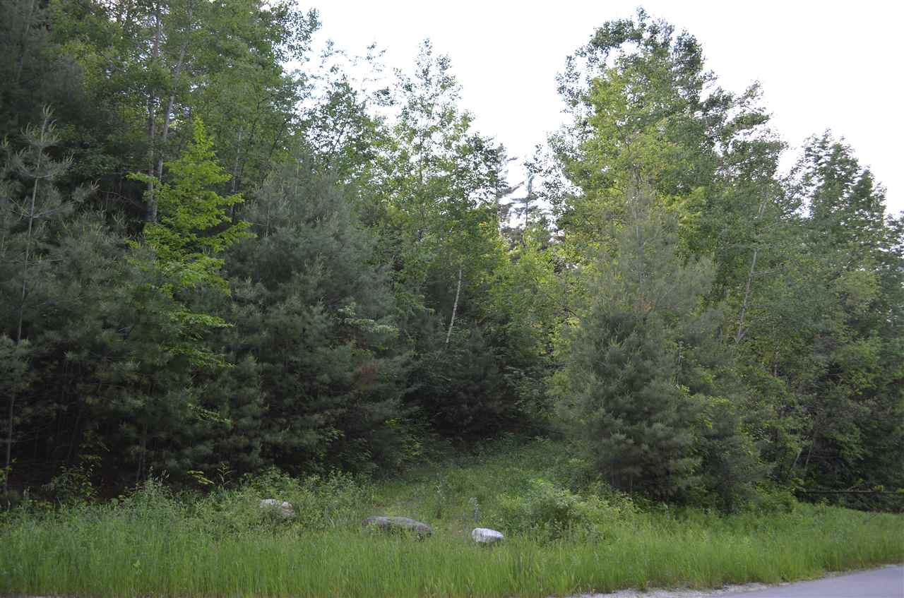 0 Soapstone Road Ludlow, VT 05149 - Photo 1 of 19
