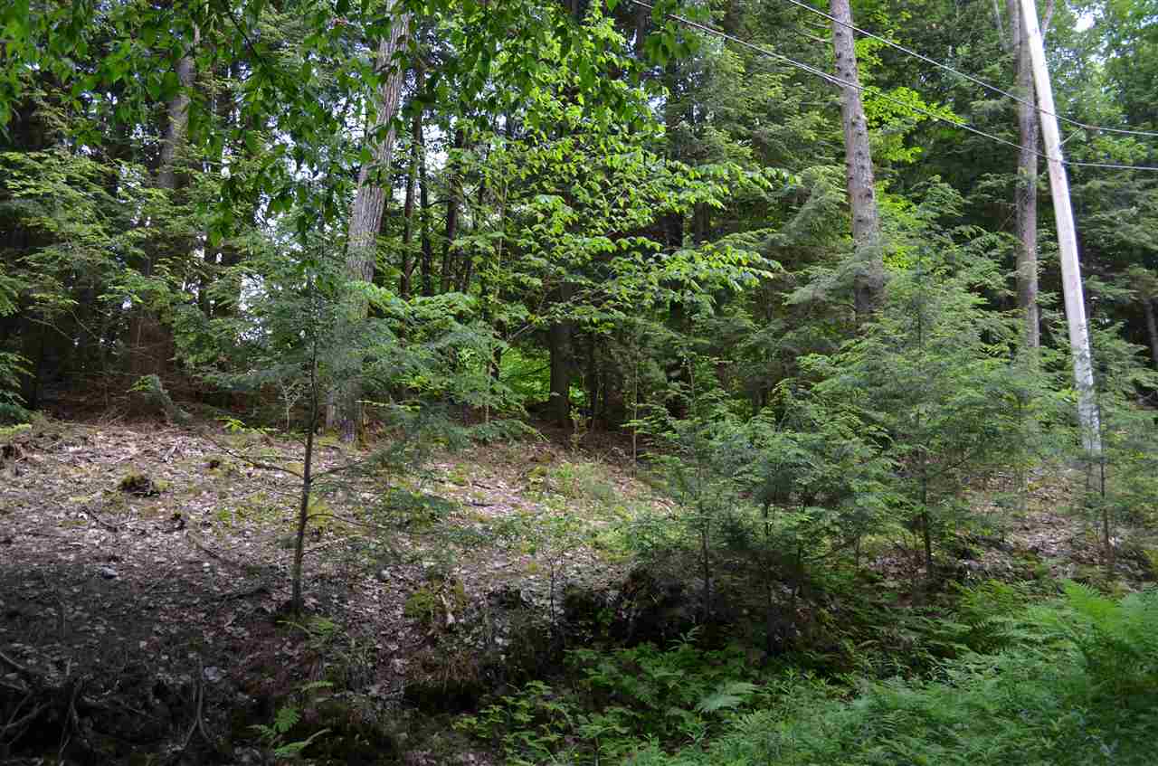 0 Soapstone Road Ludlow, VT 05149 - Photo 5 of 19