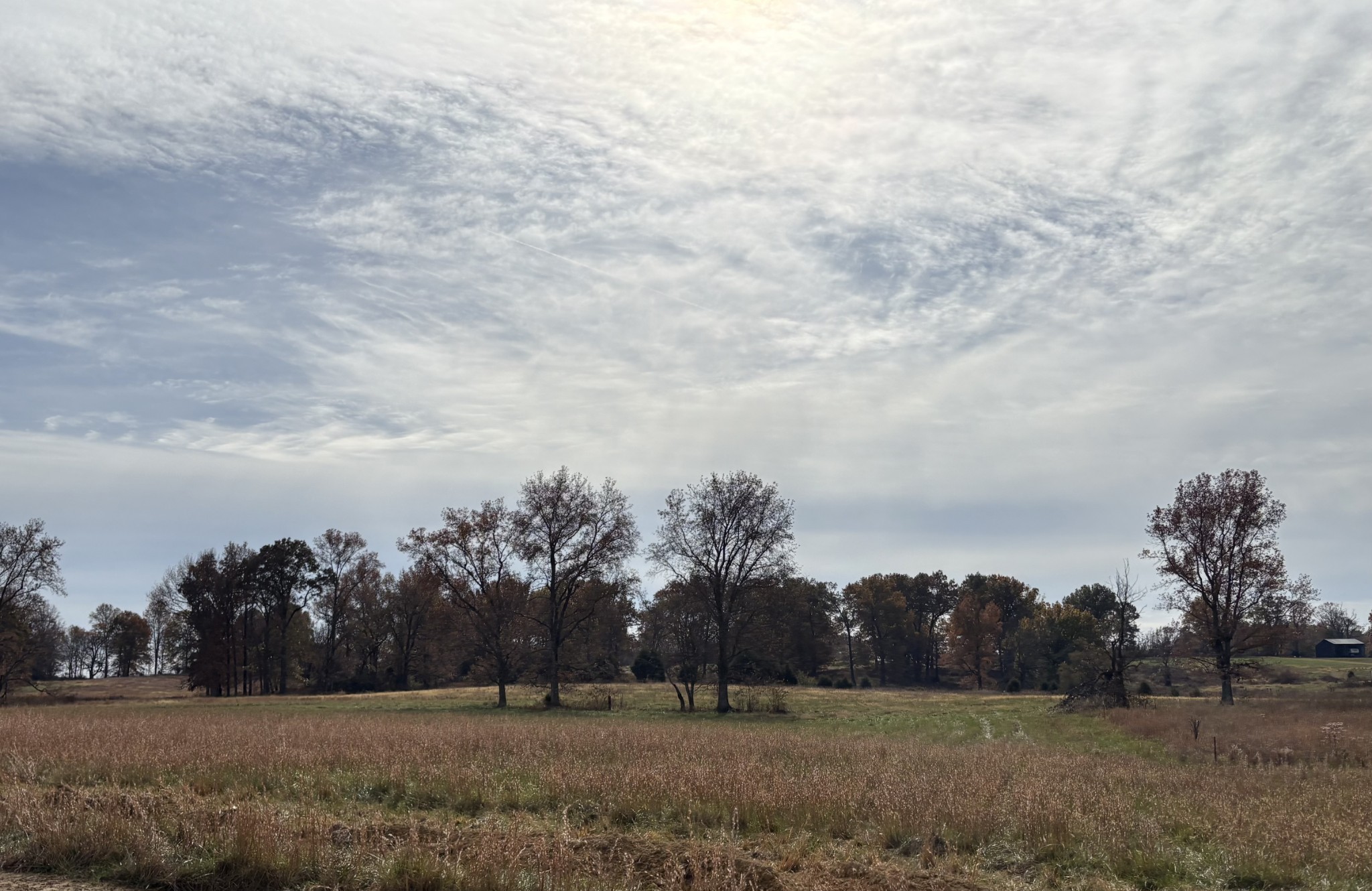 0 Thompson Lane Portland, TN 37148 - Photo 4 of 9