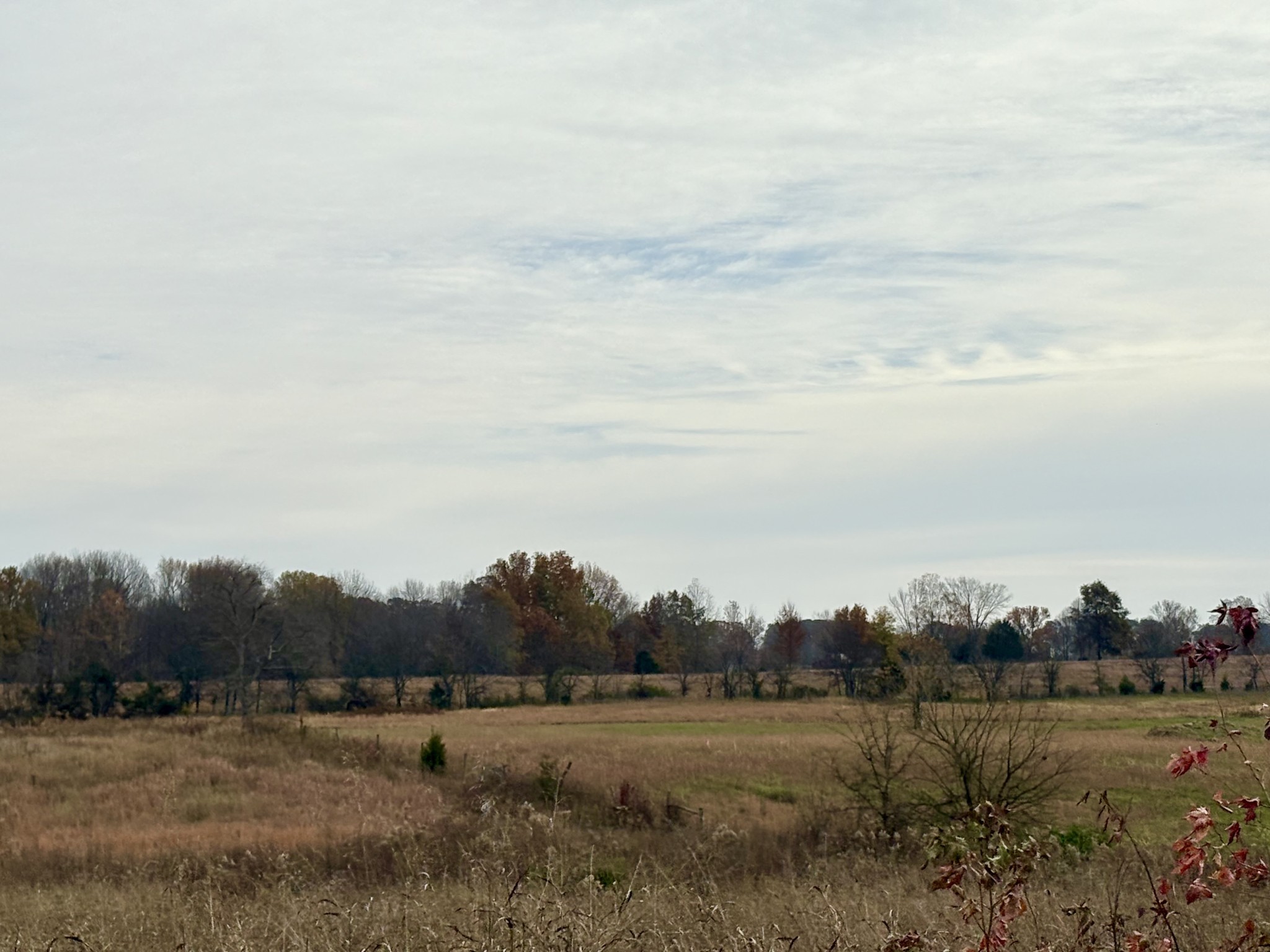 0 Thompson Lane Portland, TN 37148 - Photo 5 of 9