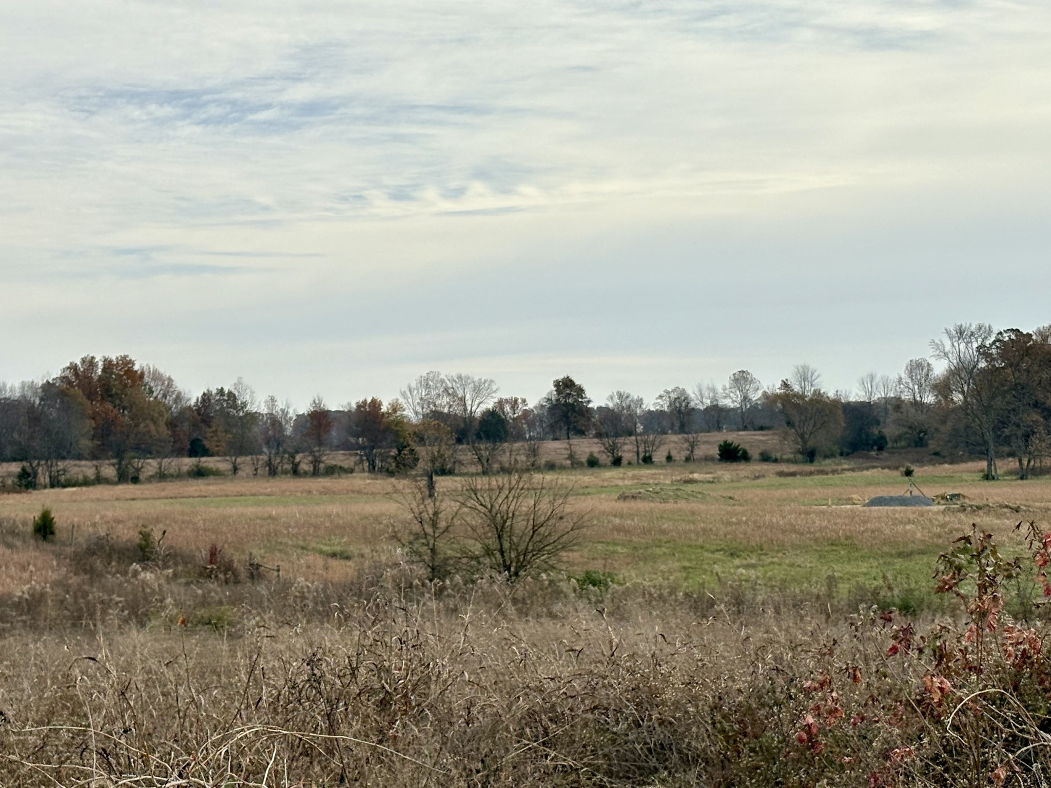 0 Thompson Lane Portland, TN 37148 - Photo 6 of 9 a view of dirt field and trees