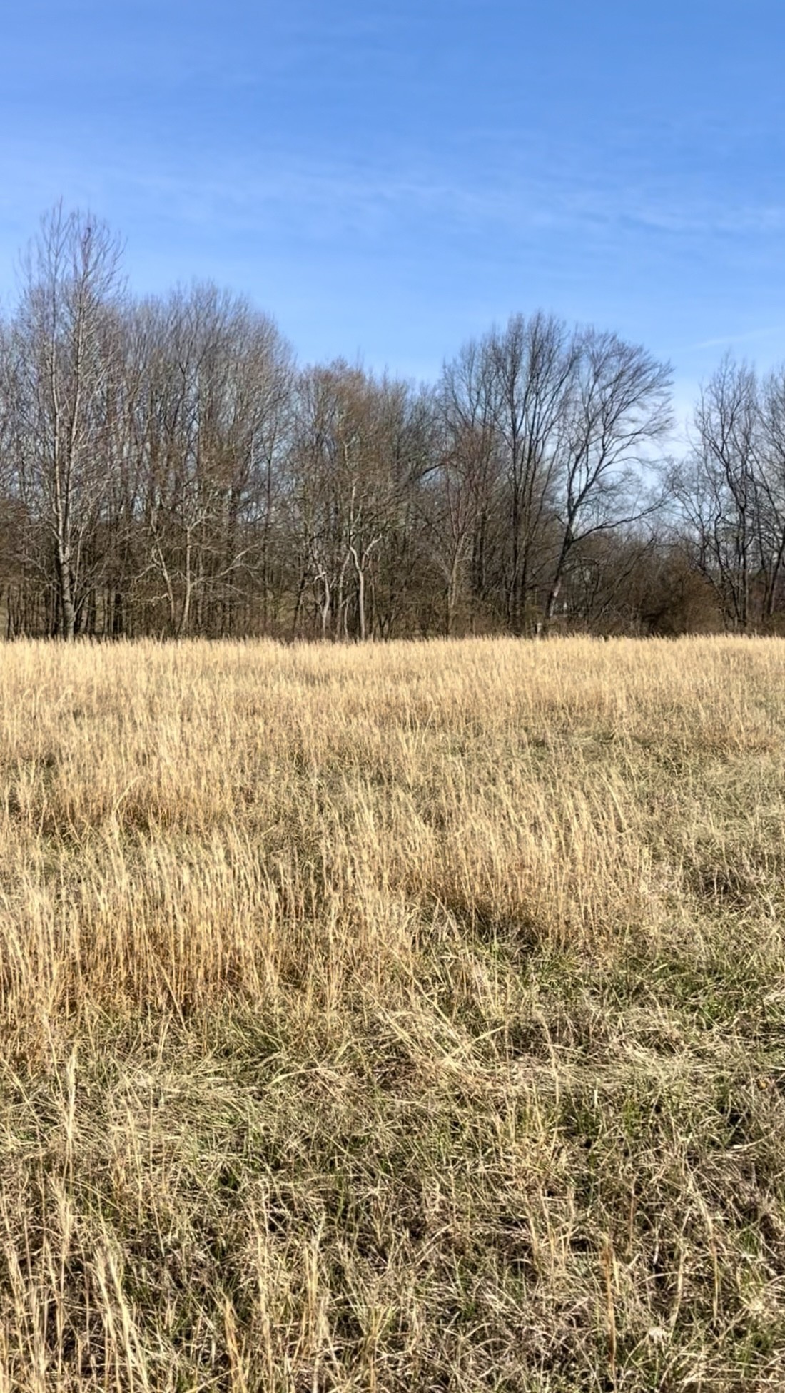 0 Thompson Lane Portland, TN 37148 - Photo 8 of 9 a view of ocean view