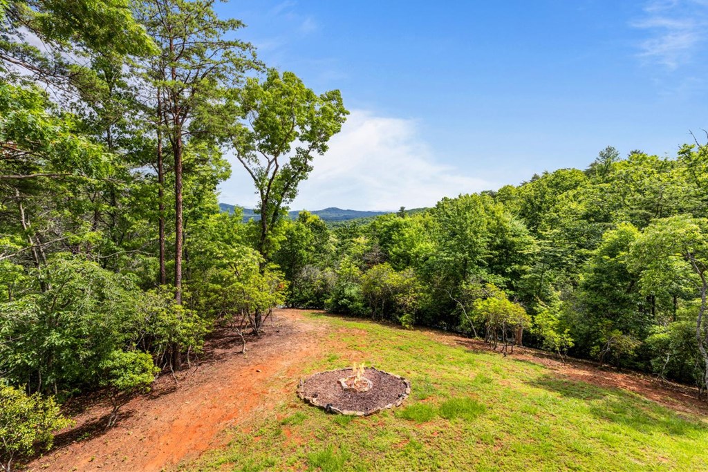57 Gentle Ponds View Murphy, NC 28906 - Photo 29 of 61