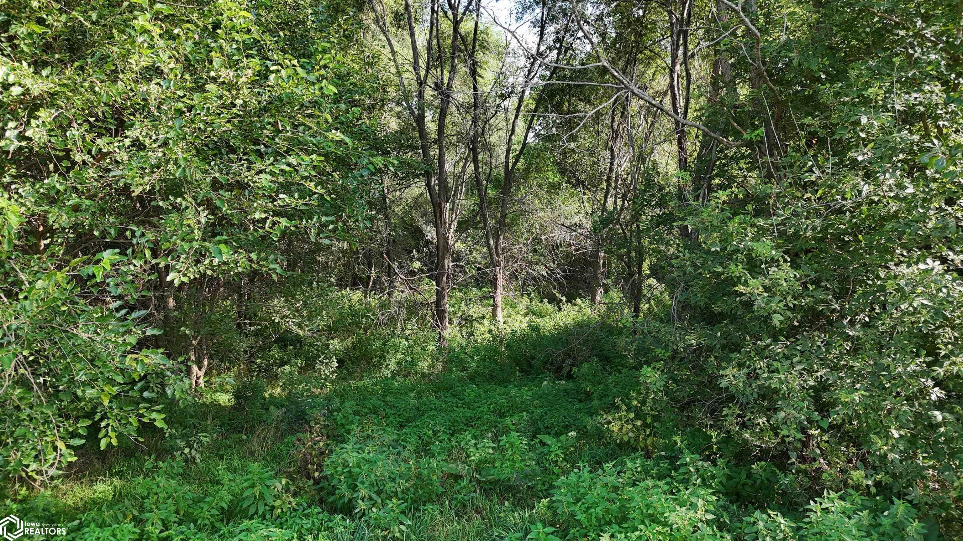 Hogback Bridge Road Winterset, IA 50273 - Photo 15 of 27 Gallery Image 15