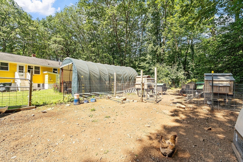 111 Wheeler Road Princeton, MA 01541 - Photo 33 of 42 a view of a backyard with a large tree