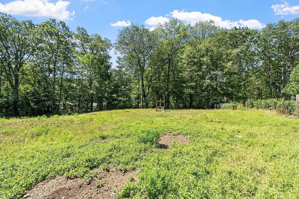 111 Wheeler Road Princeton, MA 01541 - Photo 40 of 42 a view of yard with green space