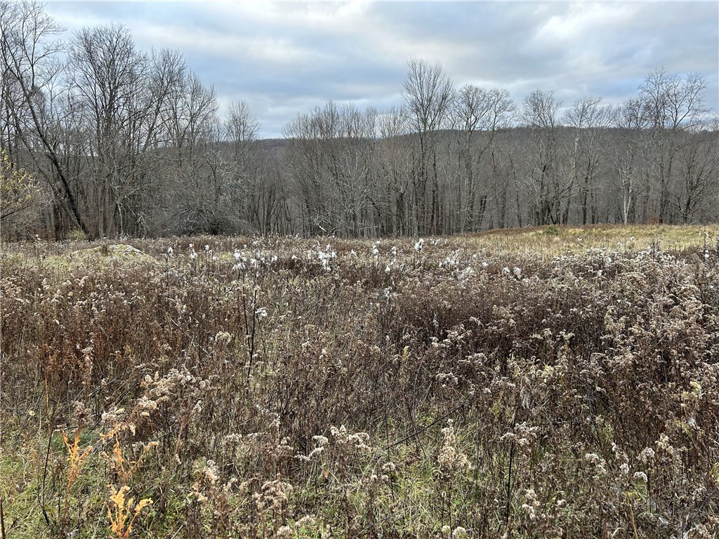 Upper Punchbowl Road Roscoe, NY 12776 - Photo 5 of 41