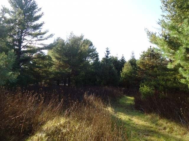 1551 Helminski Road Woodruff, WI 54568 - Photo 16 of 20 Gallery Image 16